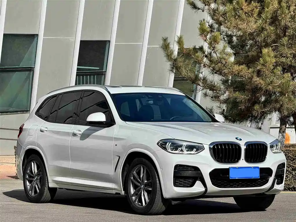 BMW X3 2019 — фото 3