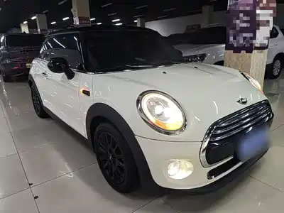 MINI MINI 2015
