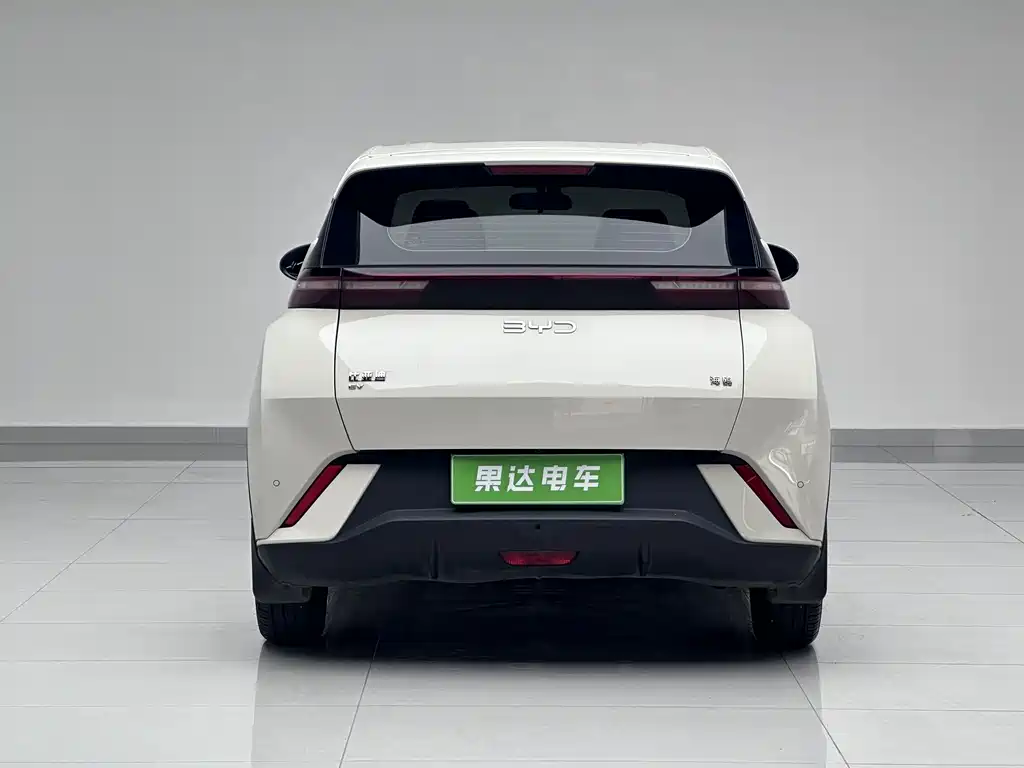 BYD Seagull 2024