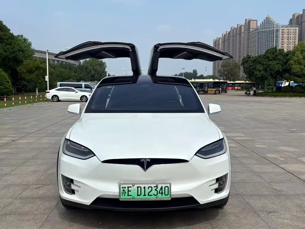 Tesla Model X 2019 — фото 2