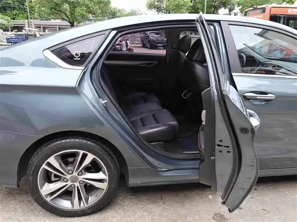Geely Binrui 2019