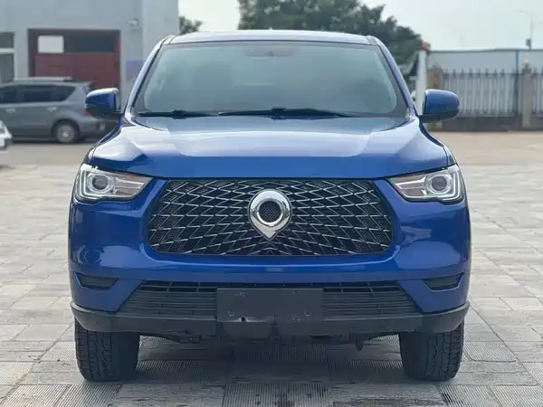 Great Wall Poer 2020
