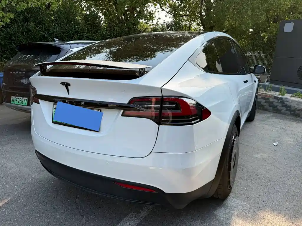 Tesla Model X 2020 — фото 8