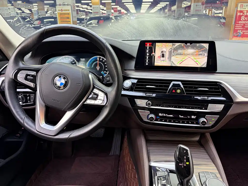 BMW 5 Series New Energy 2019