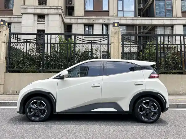 BYD Seagull 2024