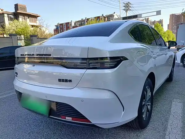 BYD Destroyer 05 2024