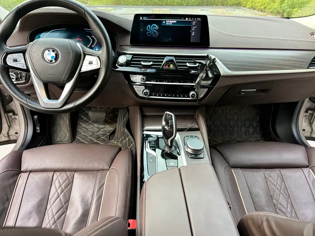 BMW 5 Series New Energy 2020