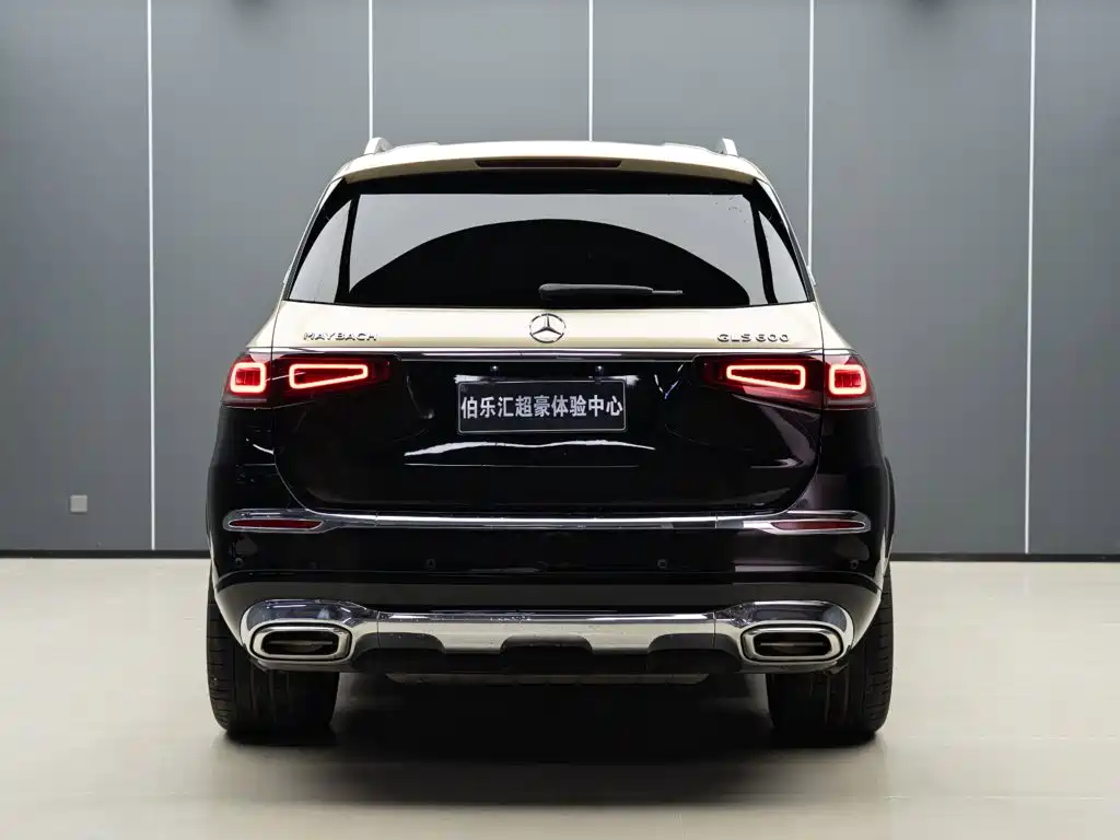 Mercedes-Benz Maybach GLS 2024 — фото 6