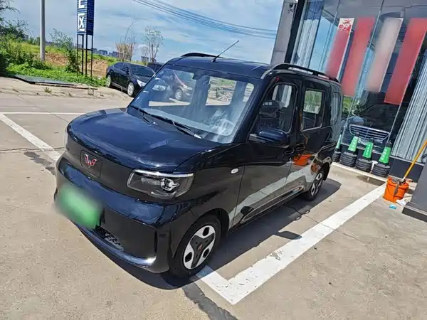 Wuling Zhiguang New Energy 2026