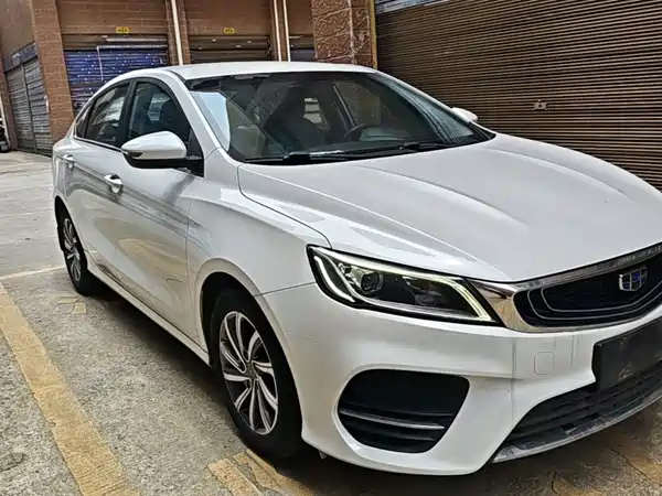 Geely Binrui 2019