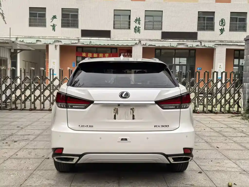 Lexus RX 2020 — фото 4