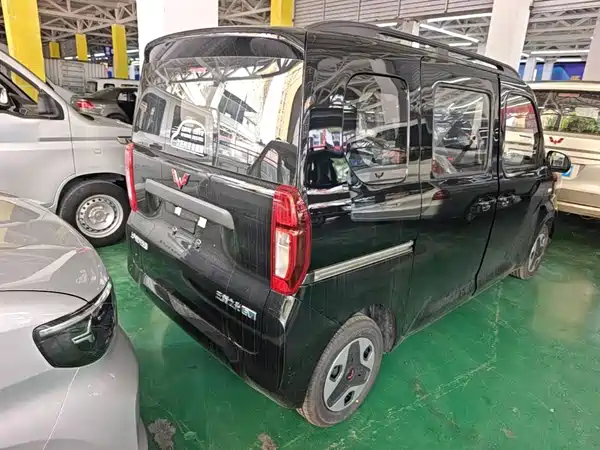 Wuling Zhiguang New Energy 2026