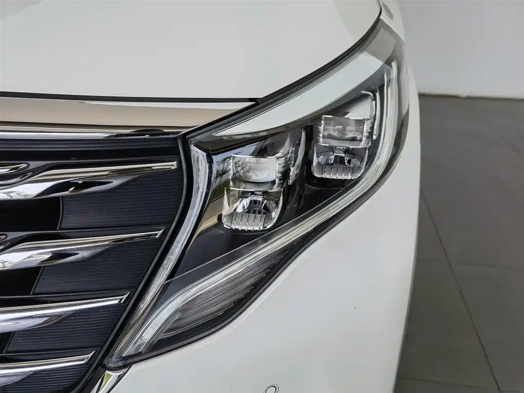 GAC Motor Trumpchi M8 2018 — фото 7