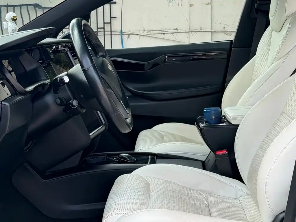 Tesla Model X 2019 — фото 10