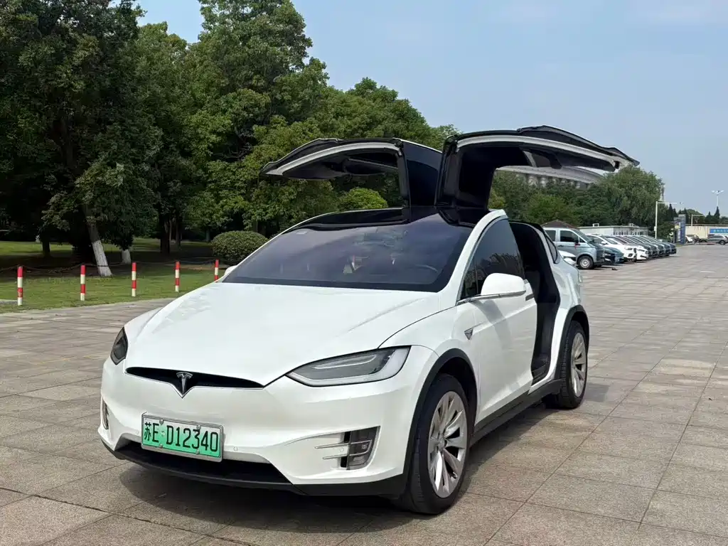 Tesla Model X 2019 — фото 3