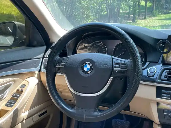 BMW 5 Series 2013