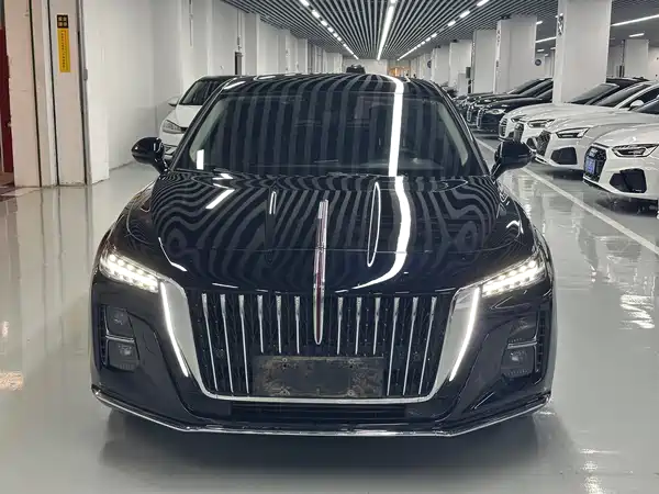 Hongqi H5 2024