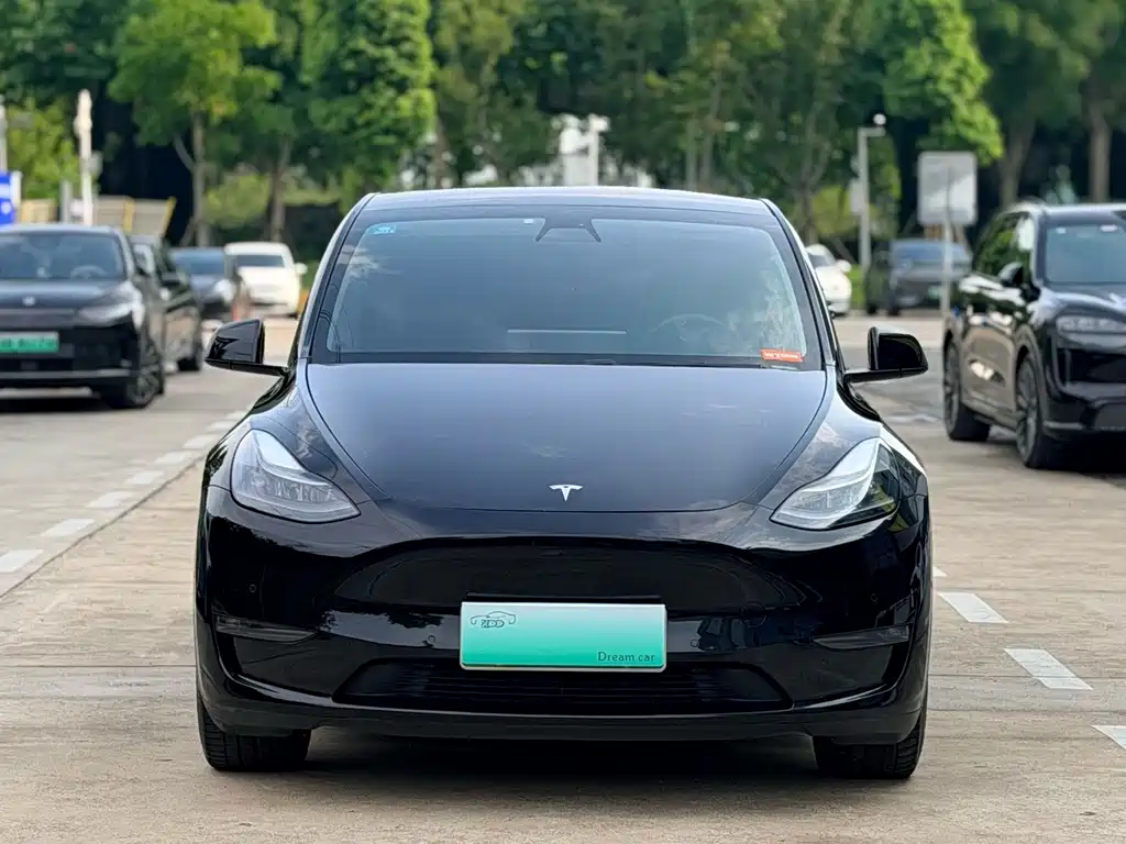 Tesla Model Y 2021 — фото 2