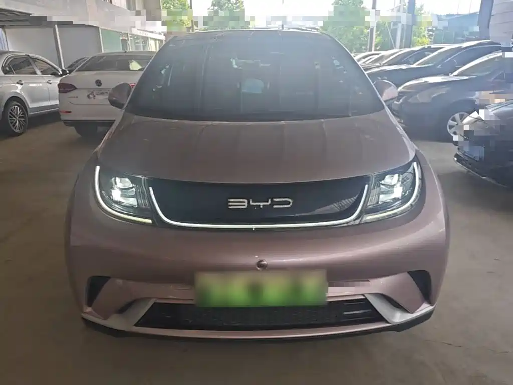 BYD Dolphin 2022