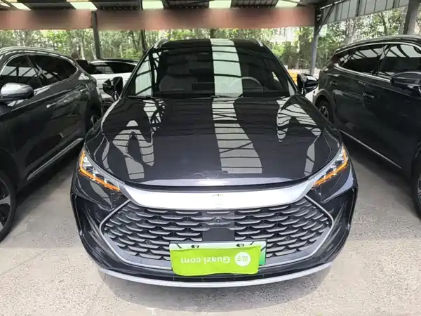 BYD Tang New Energy 2024