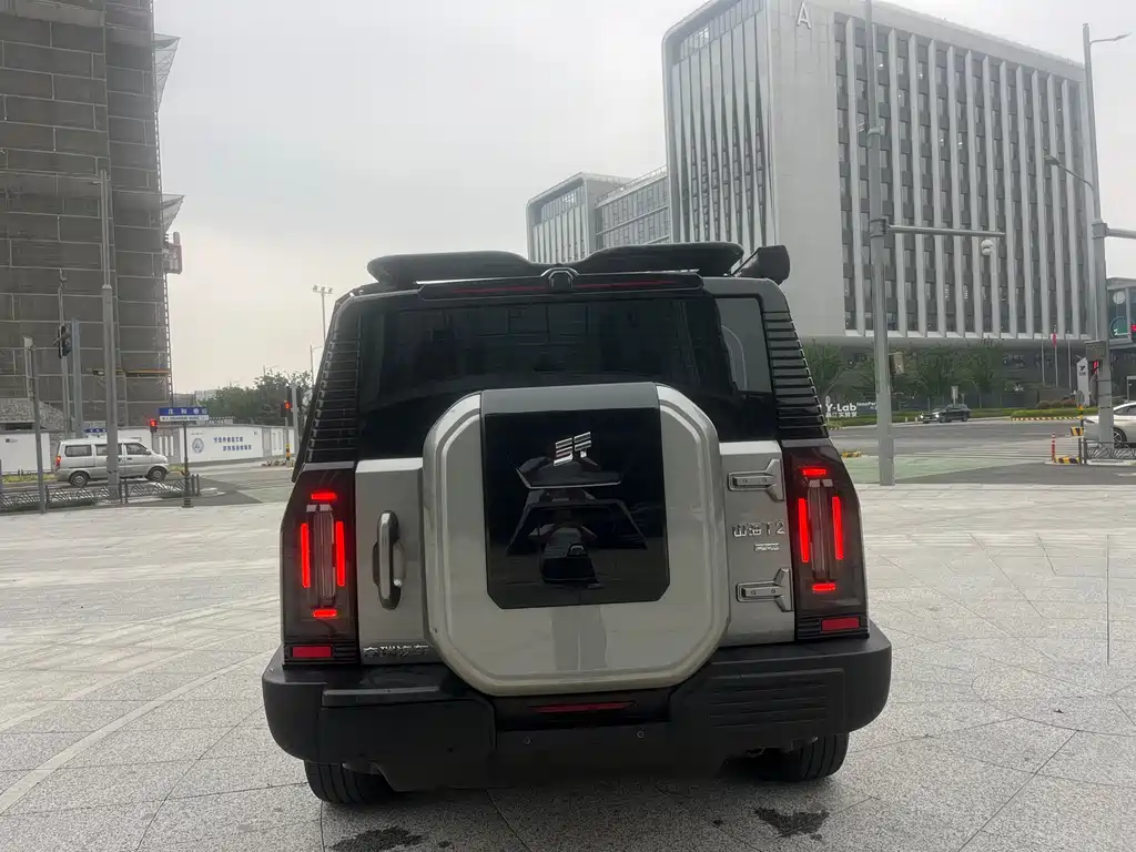 Shanhai Traveller C-DM 2025 — фото 14
