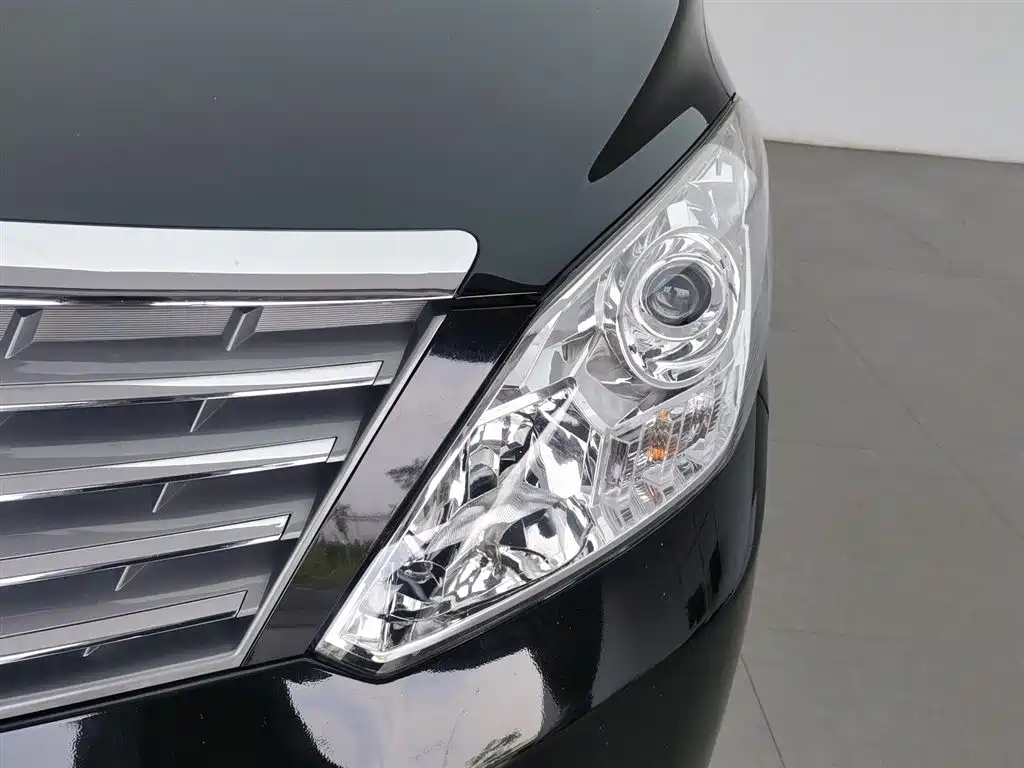 Fengxing Lingzhi PLUS 2020