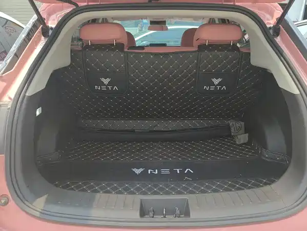Neta V 2022