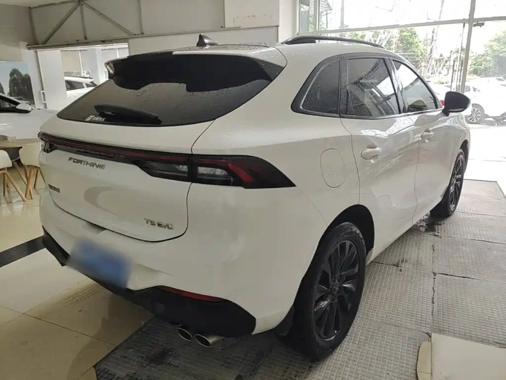 Dongfeng Fengxing T5 EVO 2021 — фото 5