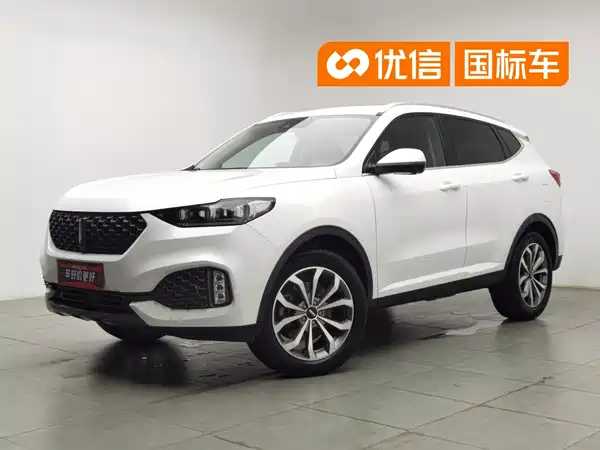 Wey VV6 2020