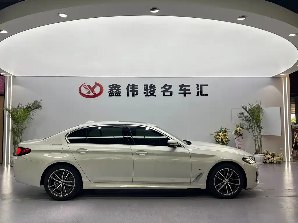 BMW 5 Series 2021