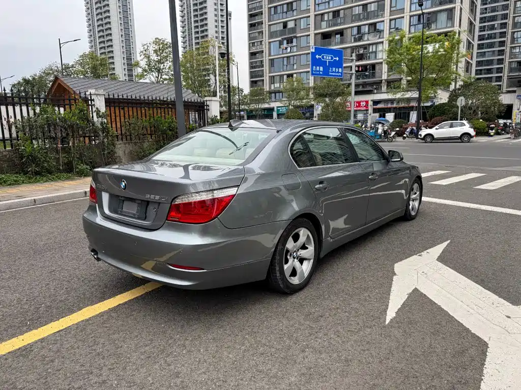 BMW 5 Series 2010