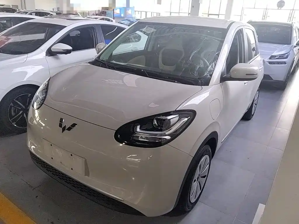 Wuling Bingo 2024