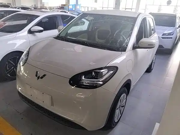 Wuling Bingo 2024