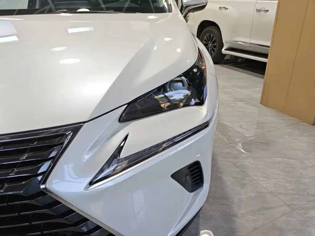 Lexus NX 2021 — фото 18