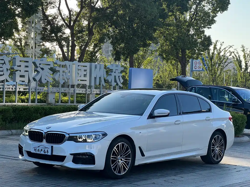 BMW 5 Series 2019