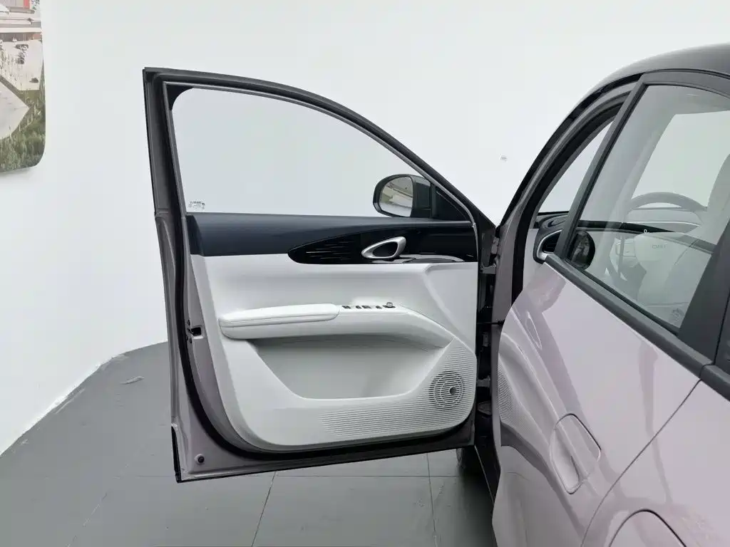 Geely Galaxy Starwish 2025 — фото 8