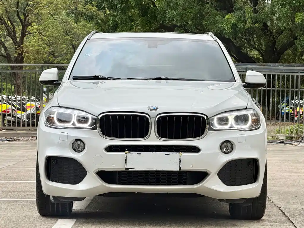 BMW X5 2017 — фото 2