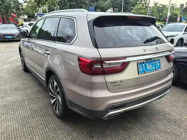 Hongqi HS7 2019