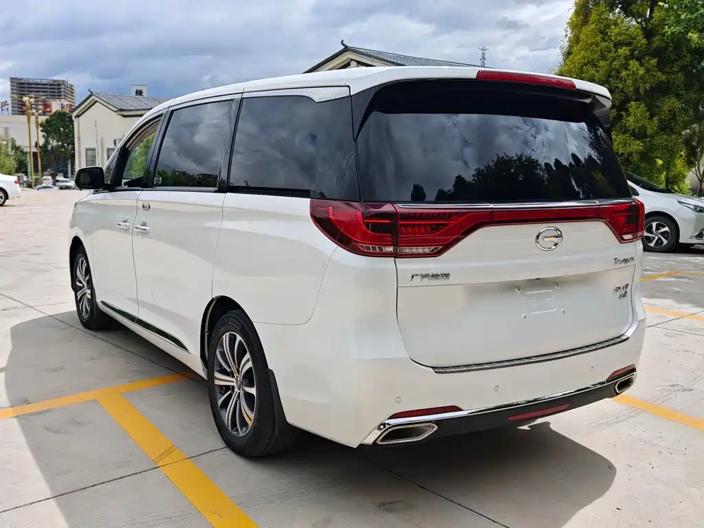 GAC Trumpchi M8 2019 — фото 7