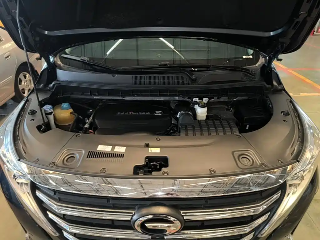 GAC Motor Trumpchi M8 2021 — фото 20