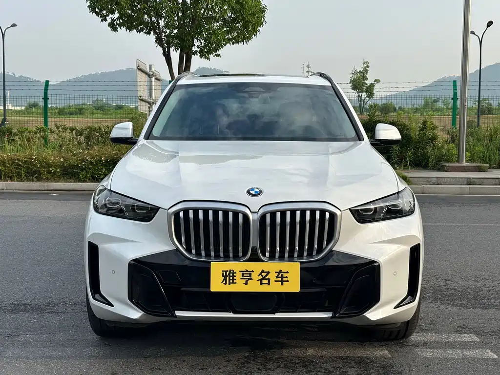 BMW X5 2024