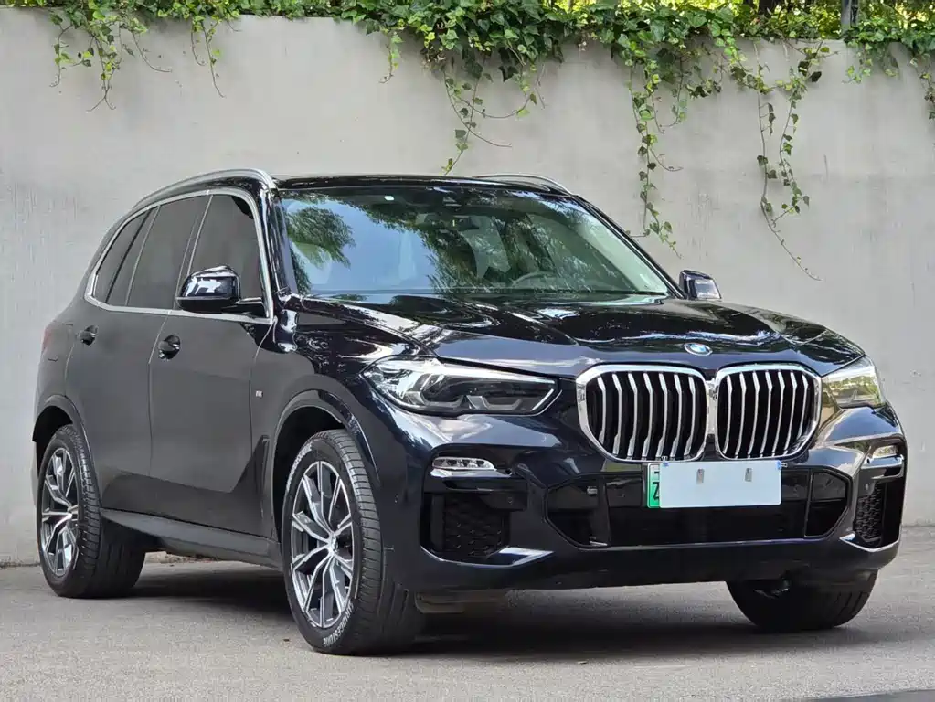 BMW X5 New Energy 2020 — фото 47