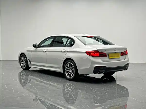 BMW 5 Series 2019