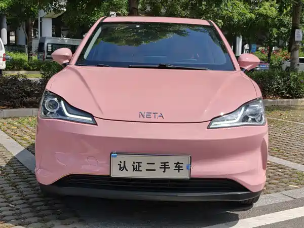 Neta V 2021