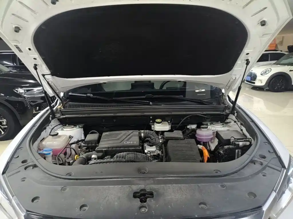 BYD Song Pro New Energy 2024 — фото 20