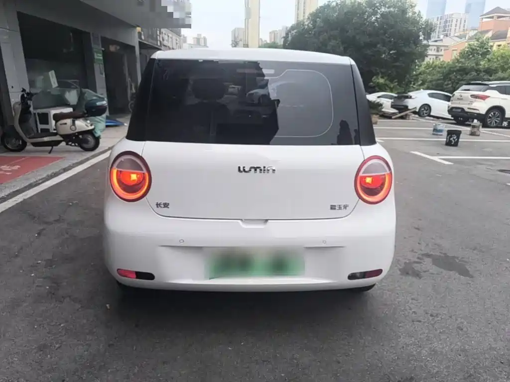 Qiyuan Lumin 2025