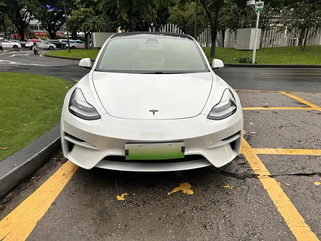 Tesla Model 3 2020