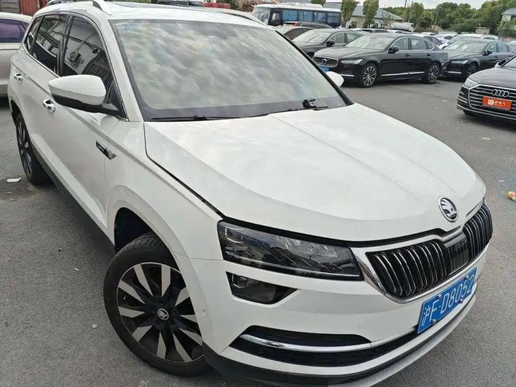 Skoda Karoq 2020 — фото 2