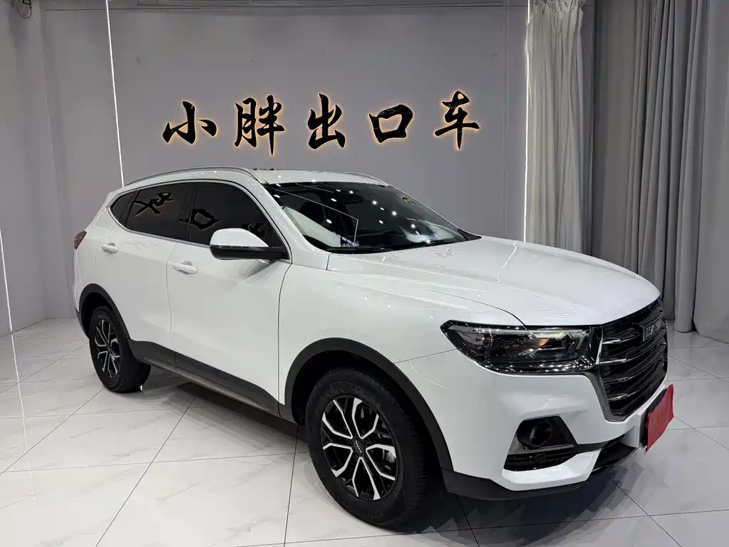 Haval H6 2023 — фото 3