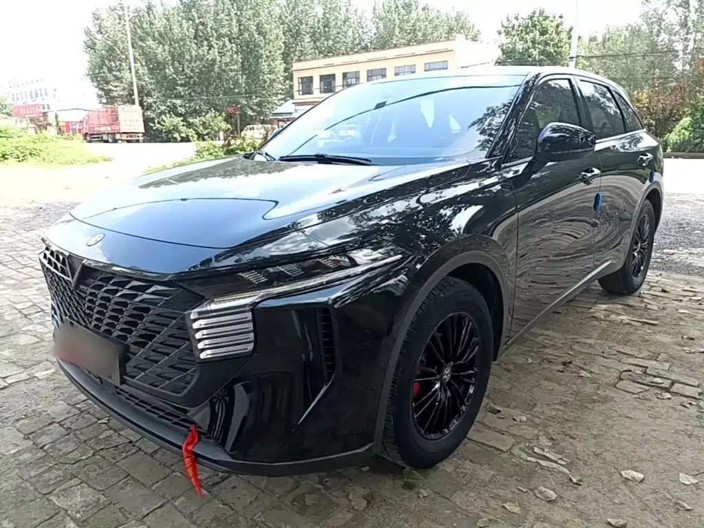 Venucia Big V 2022